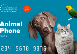 ANIMAL PHONE – Сервис для владельцев домашних животных